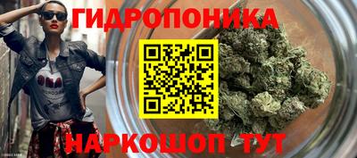 прущие крисы Волжский