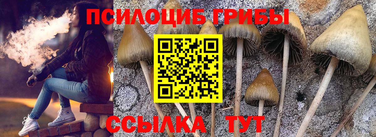 Галлюциногенные грибы ЛСД  Галлюциногенные грибы ЛСД  Вход с VPN  Дербент 